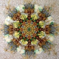 Nouveau Fractals